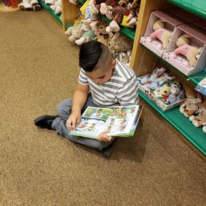 Meet your Posher, Lilia